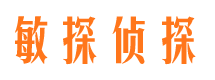 隆子侦探公司